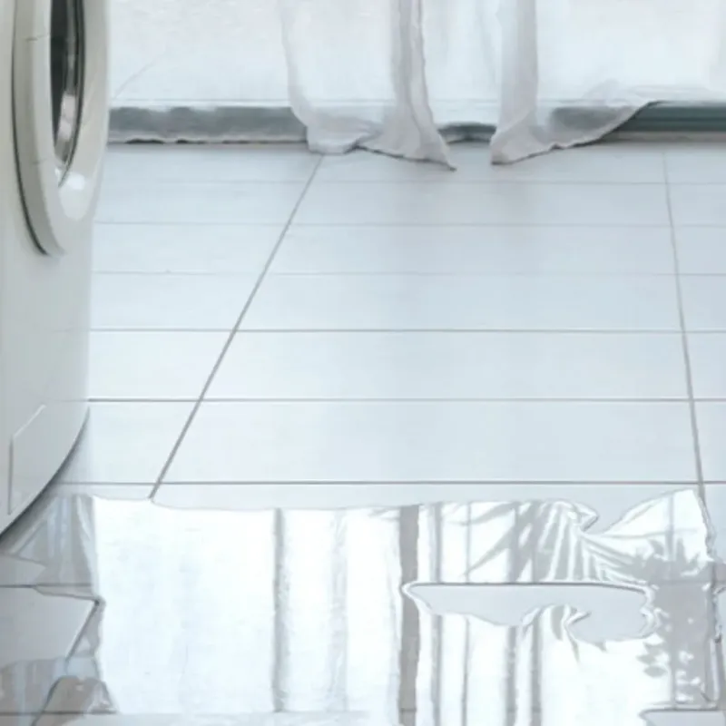 Appliance Leak Cleanup in Barron, WI