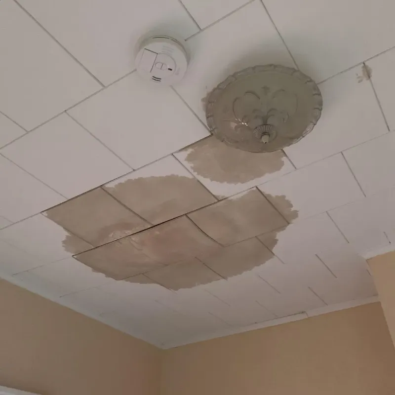 Ceiling Water Damage Repair in Barron, WI