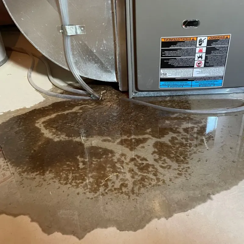 Pipe Burst and Leak Restoration in Barron, WI